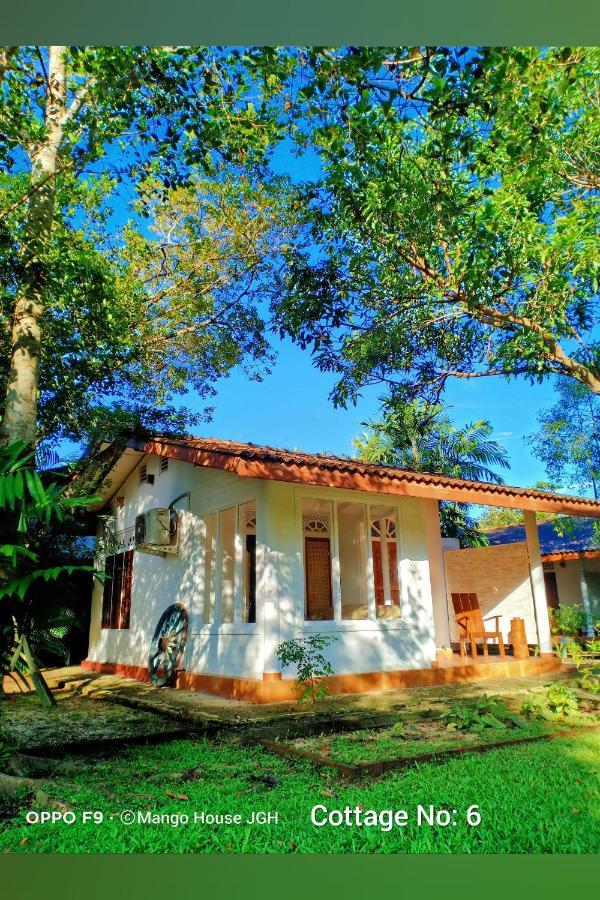 Mango House Japanese Guest House Negombo Kültér fotó