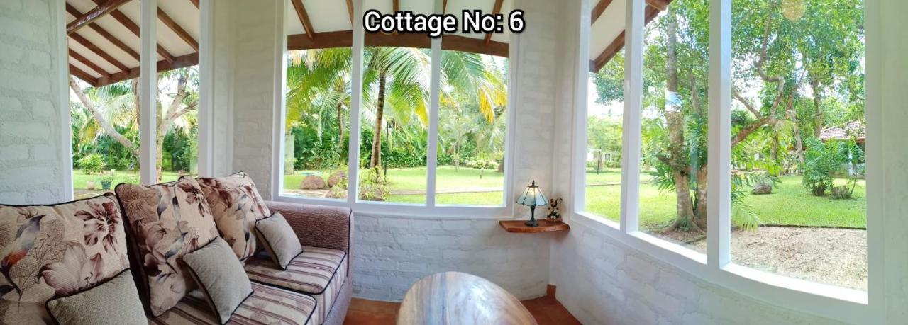 Mango House Japanese Guest House Negombo Kültér fotó
