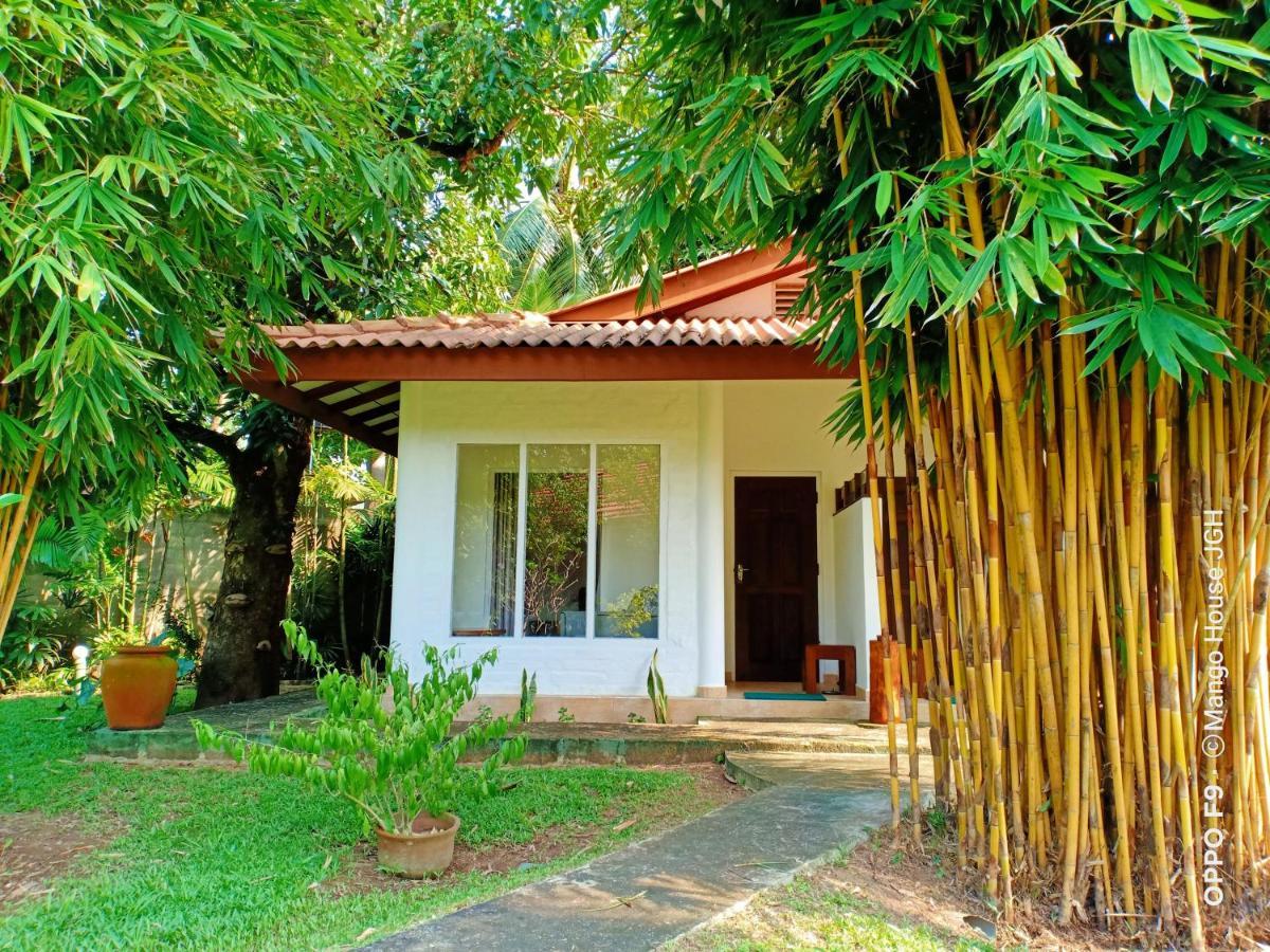 Mango House Japanese Guest House Negombo Kültér fotó