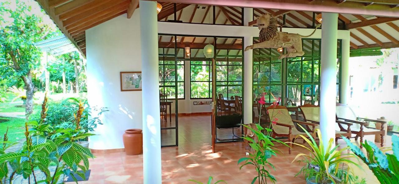 Mango House Japanese Guest House Negombo Kültér fotó