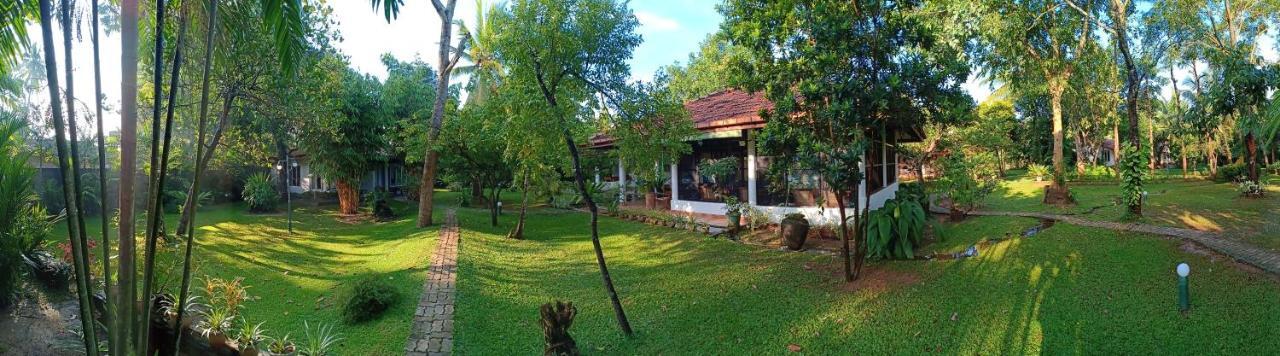 Mango House Japanese Guest House Negombo Kültér fotó