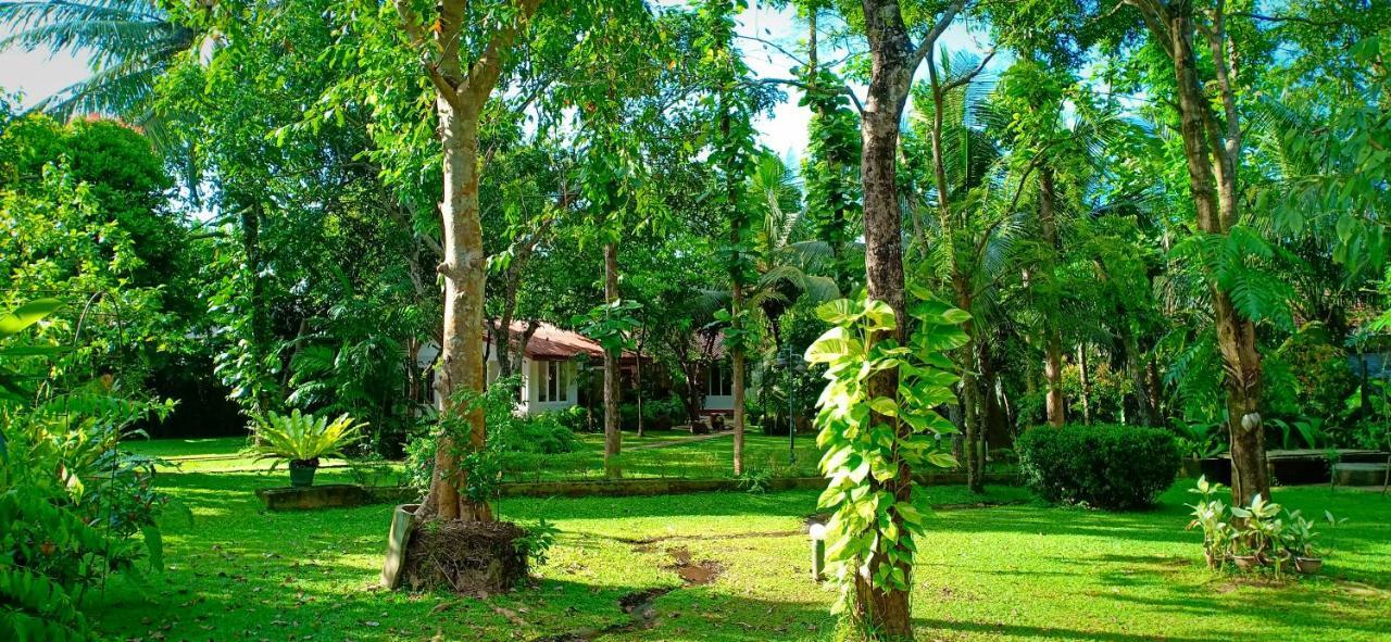 Mango House Japanese Guest House Negombo Kültér fotó